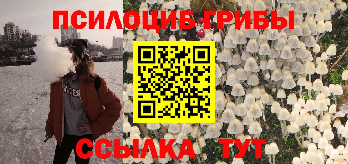 Ивантеевка  Псилоцибиновые грибы мицелий  Вход с VPN 